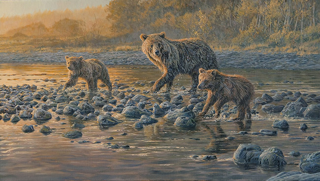 North American Grizzly bears - Mother bear and cubs by Martin Ridley